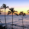Poipu Palms at Sunset