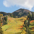 Ski Slope in Autumn